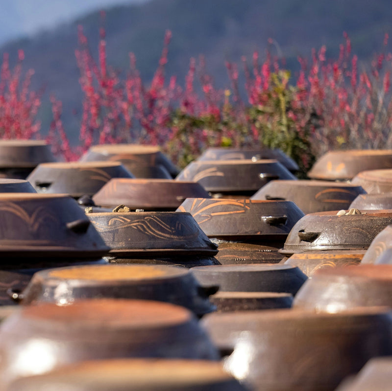 Doenjang (Soybean Paste) 된장